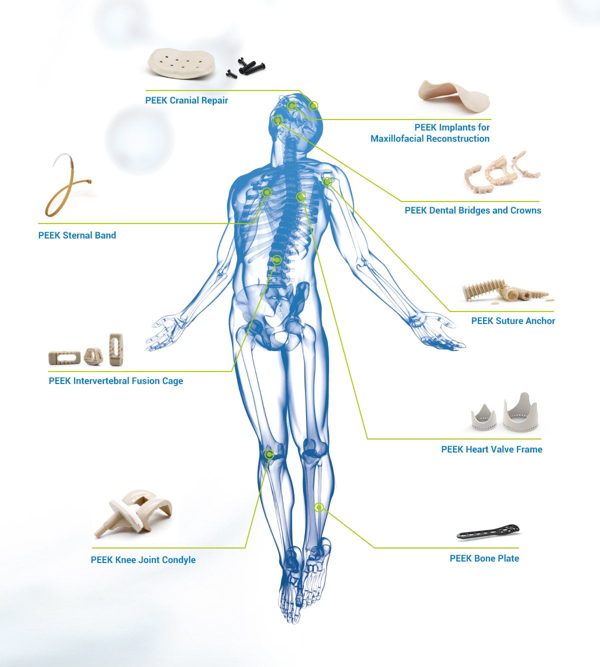 Human body application diagram